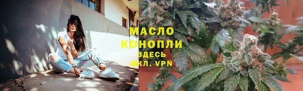 метадон Богданович